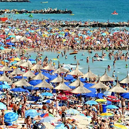 Rokos Apartment Mamaia
